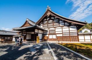 鹿苑寺网红,网红打卡地，古韵与现代的完美融合