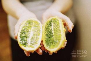 刺角瓜水果怎么吃,刺角瓜水果的多样食用方法探索