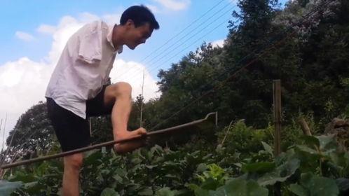 头条无臂孝子,逆境中的坚韧与孝道之光