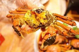 成都网红小甲鱼是谁,网络红人的魅力与影响力